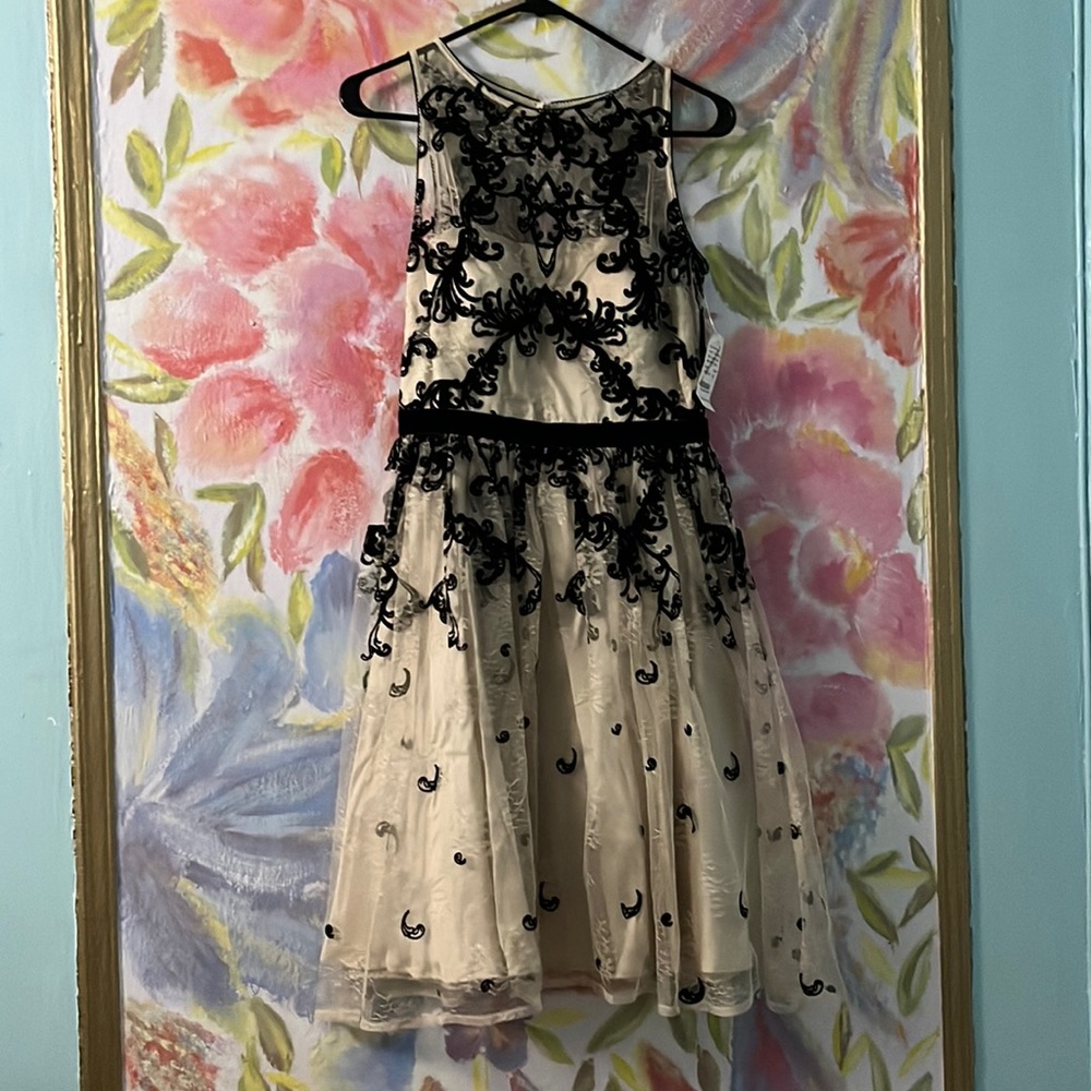 Adrianna Papell size 6 dress prom formal cocktail dress wedding guest NWT